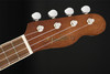 Fender Seaside Soprano Ukulele Pack, Walnut Fingerboard in Natural