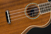 Fender Zuma Concert Ukulele, Walnut Fingerboard in Natural