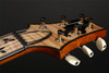 PRS Private Stock Special 22 Semi-Hollow in Tiger Eye Glow PS#10490