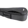 Boss CB-AG10 Carrying Bag for Acoustic Guitar