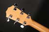 Taylor 114ce Spruce/Sapele Grand Auditorium Cutaway, ES2 in Natural with Gig Bag
