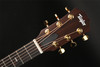 Taylor GS Mini-e Rosewood 50th Anniversary, ES-2 with Gig Bag