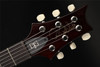 PRS DGT with Birds in McCarty Tobacco Sunburst #0389017