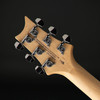 PRS SE Studio Standard in Sage Green with Gig Bag
