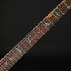 PRS Wood Library Special Semi-Hollow 22 10-Top Quilt, Flame Maple Neck in Yellow Tiger with Black Paisley Case #0379110