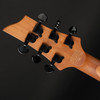 Schecter C-1 Standard in Bloodburst #ST25041548