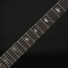 PRS SE Herman Li Chleo Signature in Mantis Burst
