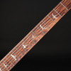 PRS 40th Anniversary Special Semi-Hollow Limited Edition in Yellow Tiger #0413562