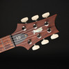 PRS 40th Anniversary Special Semi-Hollow Limited Edition in Yellow Tiger #0413562