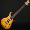 PRS Swamp Ash Special in McCarty Tobacco Sunburst #0408841
