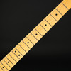Fender American Professional II Telecaster, Maple in Sienna Sunburst #US24047257 - As New
