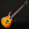 PRS SE DGT with Birds (2026) in McCarty Tobacco Sunburst with Gig Bag #H064544
