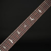 PRS SE DGT with Birds (2026) in McCarty Tobacco Sunburst with Gig Bag #H064544