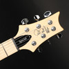 PRS SE Swamp Ash Special (2025) in Charcoal with Gig Bag #H009970