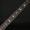 PRS Custom 24-08, TCI Pickups in Aurora Borealis #0419988