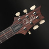 PRS Custom 24-08, TCI Pickups in Aurora Borealis #0419988
