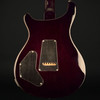 PRS DGT with Birds in Black Goldburst #0415489