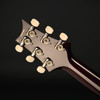 PRS DGT with Birds in Black Goldburst #0415489