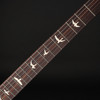 PRS S2 Custom 24-08 in Fire Red Burst #S2076334