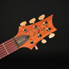 PRS S2 Special Semi-Hollow Reclaimed Limited Edition #S2085560
