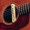 LR Baggs M1 Active Soundhole Pickup