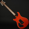 PRS Wood Library DGT 10 Top, Stained Maple Neck in Burnt Maple Leaf #252678 - Pre-Owned