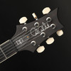 PRS Wood Library DGT 10 Top, Stained Maple Neck in Burnt Maple Leaf #252678 - Pre-Owned