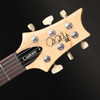 PRS SE Custom 24 (2026) in Trampas Green with Gig Bag with Gig Bag
