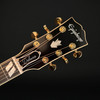 Epiphone Hummingbird Deluxe EC in Autumn Burst #26041501035