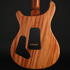 PRS Custom 24 Birds of a Feather Limited Edition in Charcoal Microburst