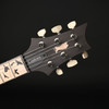 PRS Custom 24 Birds of a Feather Limited Edition in Blood Red #0428203