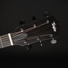Taylor Sunset Blvd 214ce Special Edition in Eclipse Burst with Gig Bag
