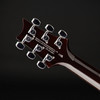 PRS SE DGT Standard in McCarty Tobacco Sunburst with Gig Bag