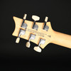PRS SE Swamp Ash Special (2026) in Iridescent Blue with Gig Bag #I021394