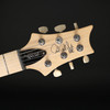 PRS SE Swamp Ash Special (2026) in Iridescent Blue with Gig Bag #I021394