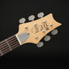 PRS SE Silver Sky in Dandy Lion with Gig Bag