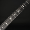 PRS SE Custom 24 Floyd in Charcoal Cherry Burst #G104113