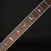 PRS SE Custom 24 Semi-Hollow Piezo (2026) in Orange Tiger Smokeburst with Gig Bag #H075494