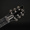 Duesenberg Kalico Lapsteel in Tobacco Burst with Case