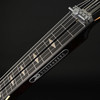 Duesenberg Kalico Lapsteel in Tobacco Burst with Case