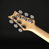 PRS Silver Sky Defender Limited Edition in Willow Green with Case