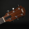 Taylor 24ce Sunset Blvd Grand Auditorium Electro Acoustic Guitar in Edgeburst with Gig Bag #2206016405
