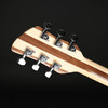 Rickenbacker 330/6 in Mapleglo with Case #2627759