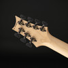 PRS Tekton SVN, Natural Neck, Violet Tourmaline with Gig Bag