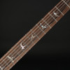 PRS Wood Library Custom 24 Stoptail Edition, Stained Neck in Faded Whale Blue with Natural Back #0434949