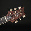 PRS McCarty 594, McCarty III Pickups in Black Gold #0430885