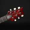 PRS DGT Semi-Hollow, Moons in Dark Cherry Sunburst #0422020