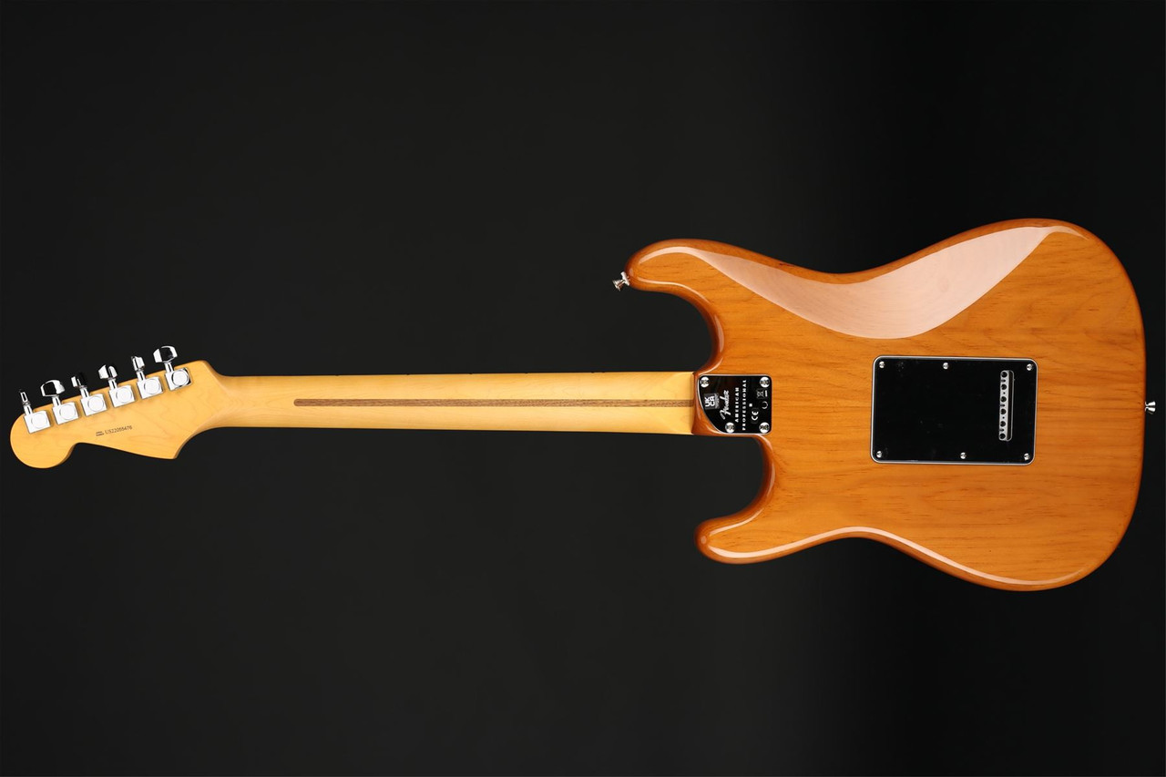 Fender American Professional II Stratocaster HSS, Maple
