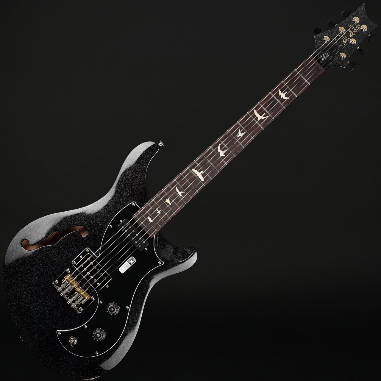PRS S2 Vela Semi-Hollow, Mahogany Neck in Black Rainbow Holoflake