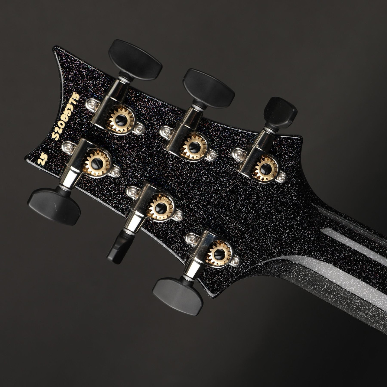 PRS S2 Vela Semi-Hollow, Mahogany Neck in Black Rainbow Holoflake
